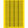 Miniatura Immagine principale 1