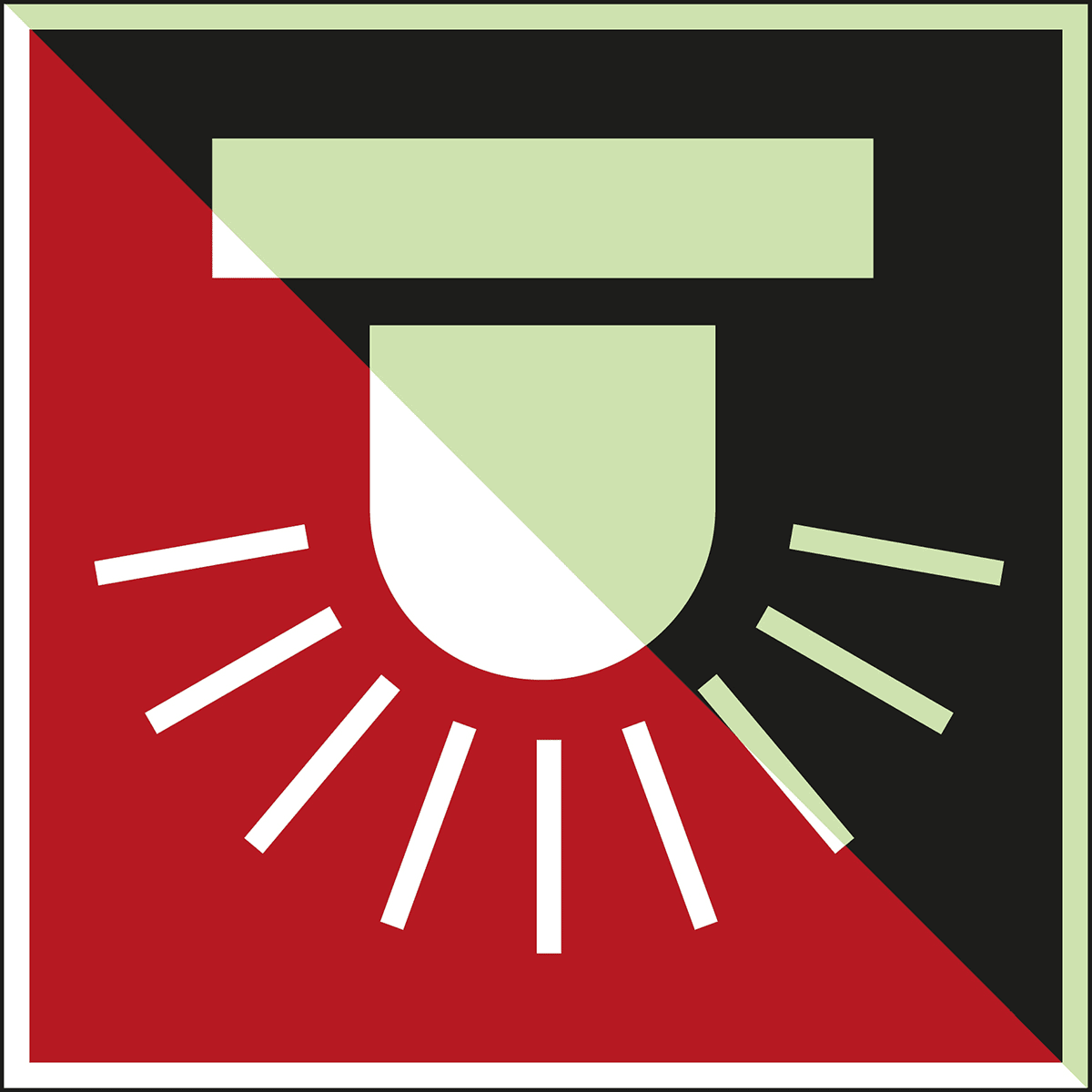 BRADY - Segnaletica di sicurezza fotoluminescente 134743