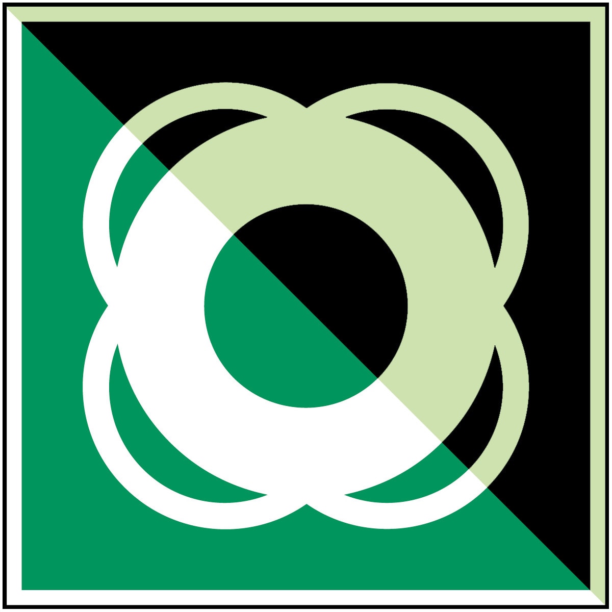 BRADY - Salvagente – ISO 7010