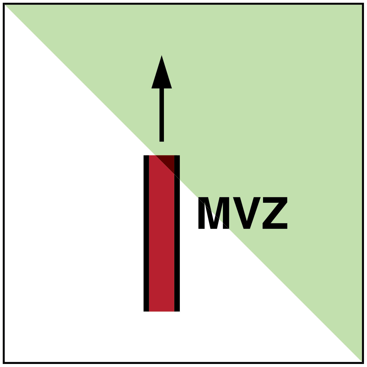 BRADY - Suddivisione verticale principale – OMI