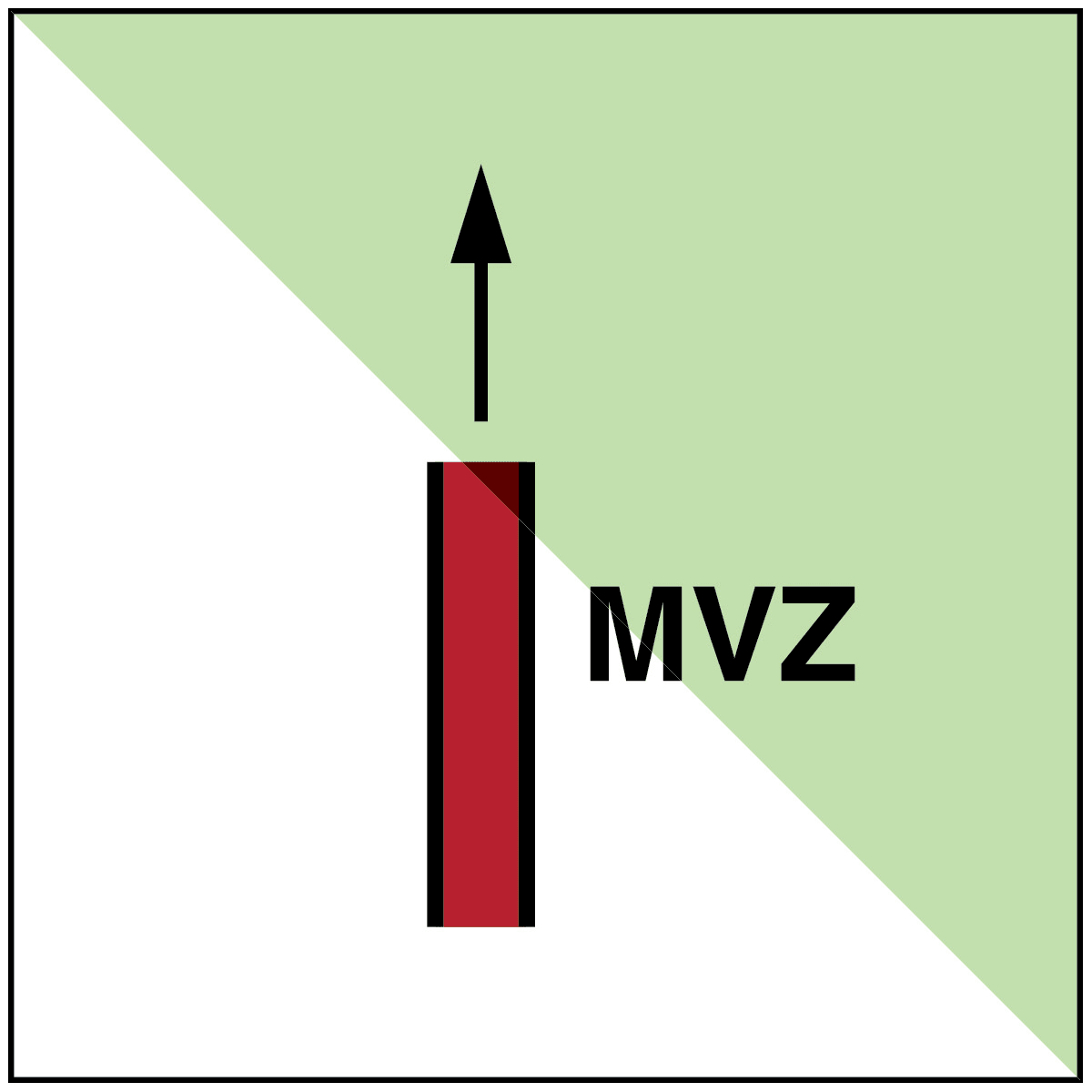 BRADY - Suddivisione verticale principale – OMI