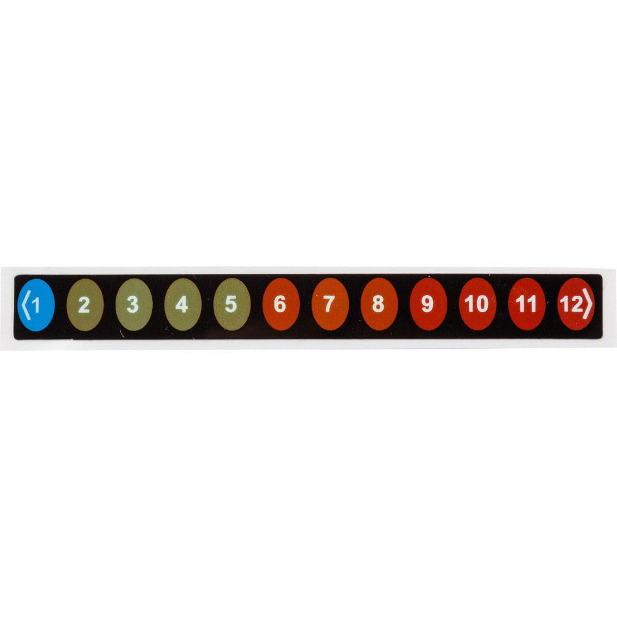 BRADY - Etichette indicatrici di temperatura reversibili - 12 tacche
