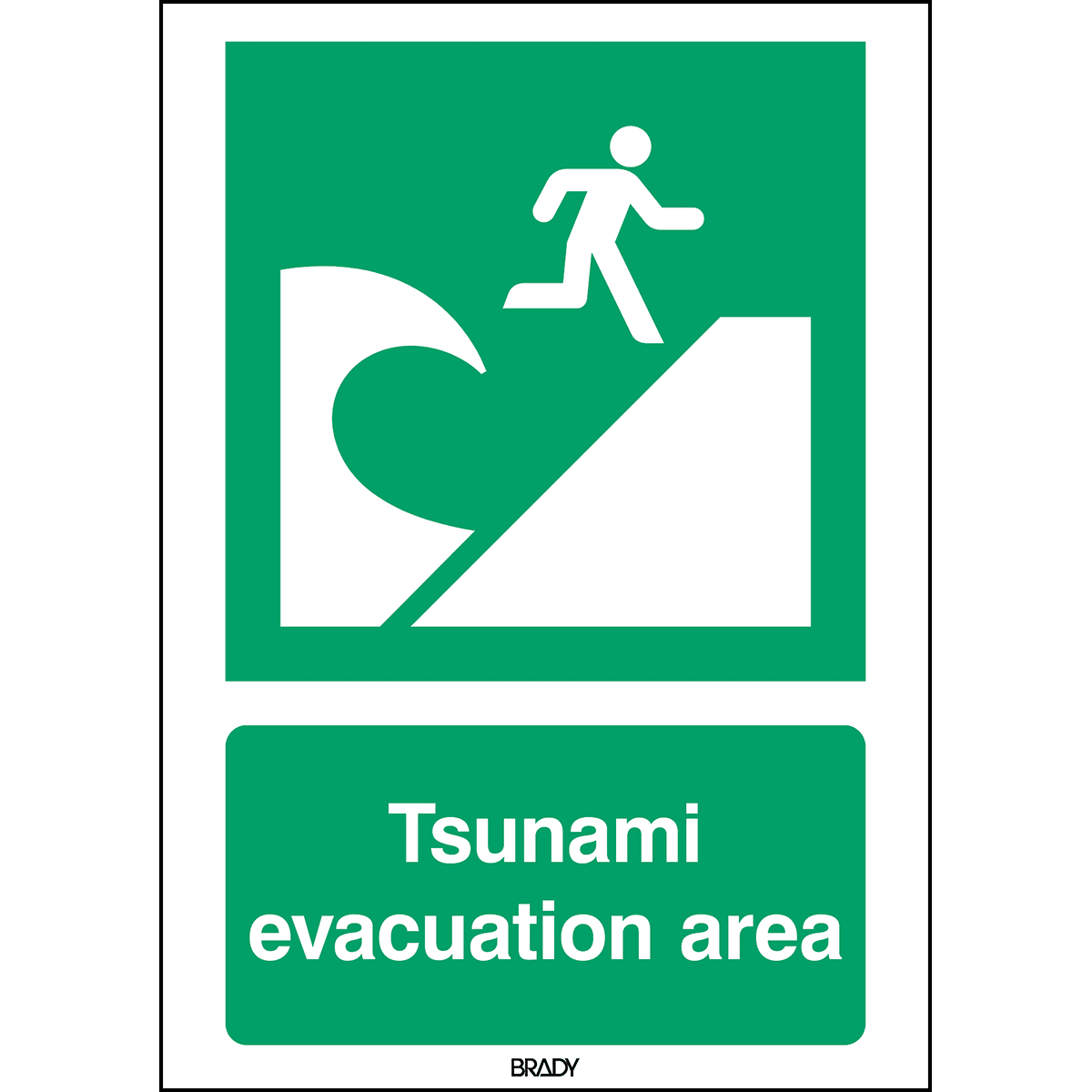 BRADY - Segnaletica di sicurezza ISO –Area di evacuazione Tsunami 238384