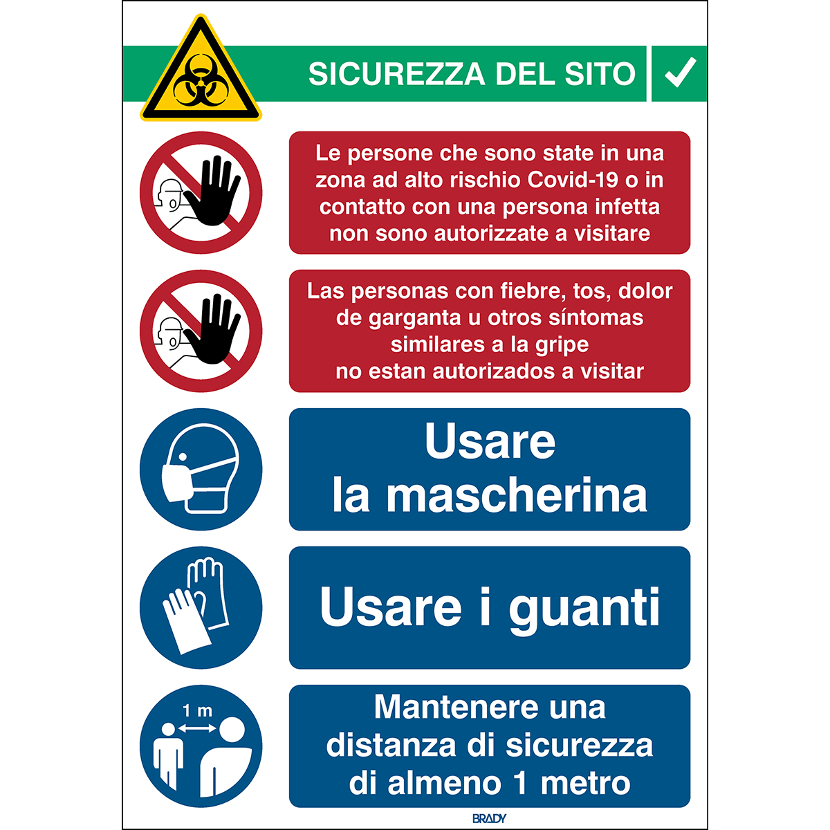 BRADY - COVID-19 Ricevimento 2