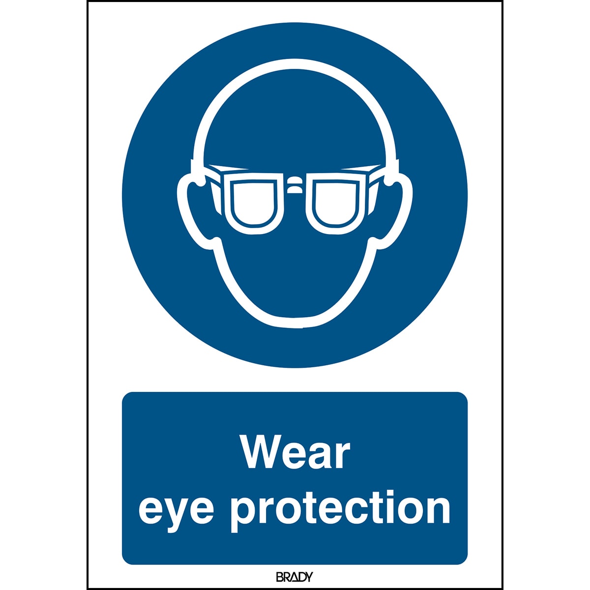 BRADY - Segnaletica di sicurezza ISO - È obbligatorio indossare protezioni per gli occhi 309525