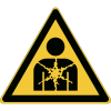 Miniatura Immagine principale 1