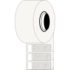 Miniatura Immagine principale 1