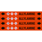 BRADY - ASME - Marcatubi - Allylamine
