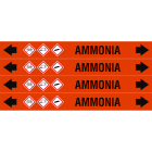 BRADY - ASME - Marcatubi - Ammonia