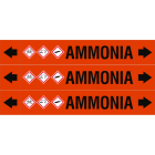 BRADY - ASME - Marcatubi - Ammonia 312943