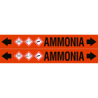 BRADY - ASME - Marcatubi - Ammonia