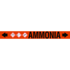 BRADY - ASME - Marcatubi - Ammonia