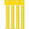 Miniatura Immagine principale 1