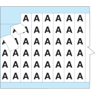 BRADY - WM-COL-PK-PK - 36 ETICHETTA