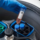 BRADY - B33-163-499 - 1500 SET