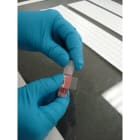 BRADY - Etichetta B33-127-461 in poliestere autolaminante per stampante BBP33 da 1500.