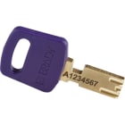 BRADY - Lucchetti SafeKey compatti 1 pezzi - ideali per proteggere i tuoi beni con praticità e sicurezza.