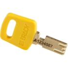 BRADY - PADLOCK YL 1 IN AL SHKL KD 6PK - 6 PEZZI