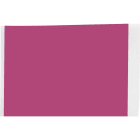 BRADY - LABEL 2 X 50' VINYL PL - 1 ROTOLO