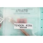 BRADY - Etichette per stampa a trasferimento termico