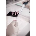 BRADY - Etichette per stampa a trasferimento termico 116408