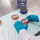 BRADY - Nastro in polipropilene per M211; M210; BMP21-PLUS; BMP21-LAB; BMP21