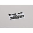 BRADY - Etichette in poliestere metallizzato per stampante BBP33