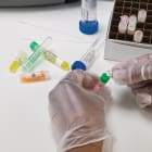 BRADY - Etichette in tessuto di nylon per stampante BBP33