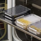 BRADY - Etichette in tessuto di nylon per stampante BBP33