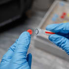 BRADY - Etichette in poliestere per stampante BBP33/i3300 149782