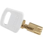 BRADY - Lucchetti per lockout SafeKey Compact Nylon con arco in alluminio