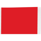 BRADY - Label 2x 50' Polyester RD RL/1 170440