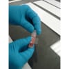 Miniatura Immagine rappresentativa 1