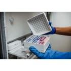 BRADY - Label 0.375" Dia Cloth RD 500 174109