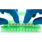 BRADY - Etichette per provette PCR per stampanti BBP33/i3300/i5300