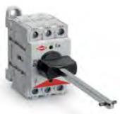 BREMAS ERSCE - SEZ 3P 32A FQ GR/N 67X67MM 3LUC
