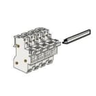 LEGRAND - Maniglia per assemblaggio portafusibili SP 021696