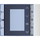 BTICINO - Frontale display in finitura Allmetal 352501