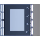 BTICINO - Frontale display in finitura Allstreet 352503