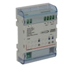 BTICINO - Dimmer DALI e DALI2 - 2 uscite indipendenti max. 32 reattori.