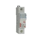 LEGRAND - Portafusibili 1P per fusibili cilindrici miniatura