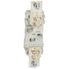 Miniatura Immagine principale 1