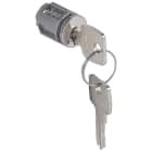LEGRAND - Cilindro con chiave 421