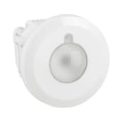 BTICINO - Sensore di presenza Light Up in tecnologia IR con comando dimmer per locali certificato con il protocollo DALI2 per 1 zona