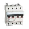 Miniatura Immagine principale 1
