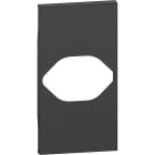 BTICINO - Cover 2 moduli per prese standard Svizzera