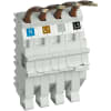 Miniatura Immagine principale 1