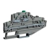 Miniatura Immagine principale 1