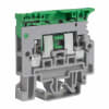 Miniatura Immagine principale 1