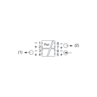 CABUR - Duplicatore di segnale ingresso 0-10V, 0-20mA, 4-20mA / uscita 2x0-10V, 0-20mA, 4-20mA.